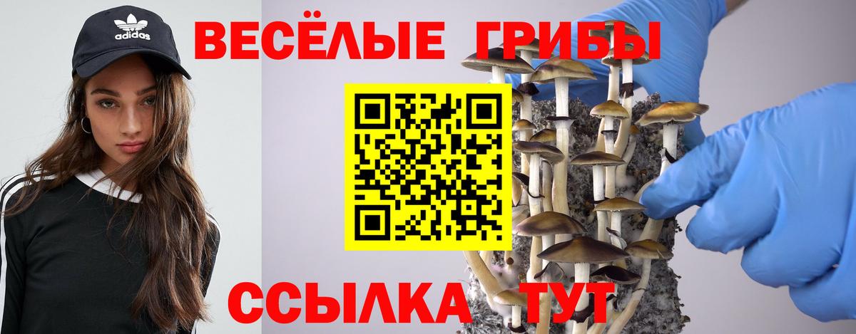 Галлюциногенные грибы прущие грибы  Псилоцибиновые грибы MAGIC MUSHROOMS  Заводоуковск  Вход с VPN 